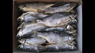 СОЛЮ И ВЯЛЮ ТАВАТУЙСКОГО ЧЕБАКА