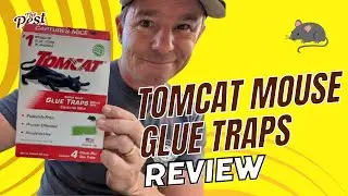 Exterminator Review: Are Tomcat Mouse Glue Traps Worth the Controversy?