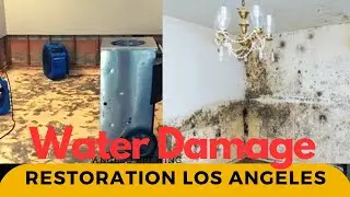 Water damage restoration los Angeles
