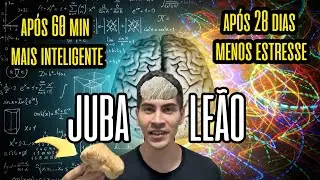 Juba de leão efeito após 60 min e 28 dia: Estudo do cogumelo (Hericium erinaceus) e dose usada