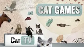 CAT Games | Ultimate Cat TV Compilation Vol 73 | 2 HOURS 🐝🐞🦋🦎🦜🐜🐭🧵