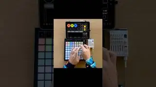 Chill beats live looping workflow test with Launchpad X, Loopy Pro, & TX-6 #shorts