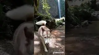 cascada la gloria./ apulco ZACAPOAXTLA.
