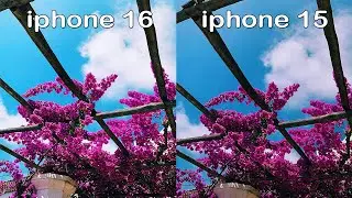 Iphone 16 Vs Iphone 15 Camera Test Comparison