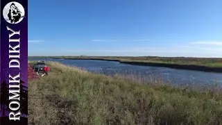 Ловля змеголова на поставки. Топарские озера. Август 2021г.