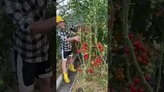 Приглашаю на наш ХОЗДВОР 🐷🐥в деревне Деревенские будни Молодого фермера Кирилла