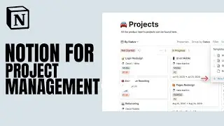 How To Use Notion For Project Managment
