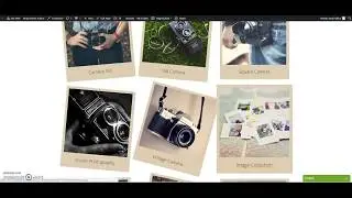 Ninja Beaver Addons  Polaroid Gallery Module