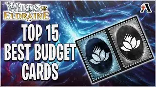 Top 15 BEST Budget Cards From WILDS OF ELDRAINE | Standard MTG Arena