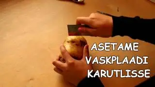 Kartulipatarei katse
