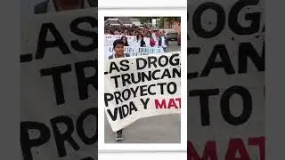 Rewind ciclo escolar 2023-2024