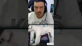 Corrección de trabajos