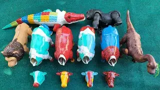 Looking for Moo Cows, Cute Cows, Colorful Cows, Lions, Kingkong, Assemble Cows