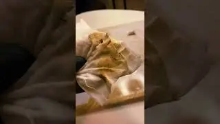Cleaning The Most Disgusting PS5 Part 2!!! (Satisfying) 😏 #shorts