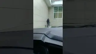 Бабы делят мужика