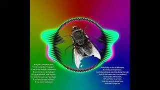 And the fly is also helicopter