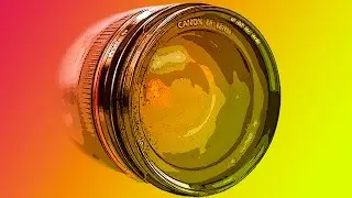 MACRO PHOTOGRAPHY TIPS AND TRICKS - How To Focus For Maximum Depth Of Field ( DOF )