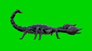 Slow motion walking Scorpion 🦂 on green screen background.3d animation, Chroma key, चलने वाला बिच्छू
