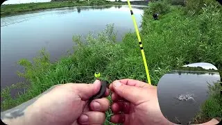 PIKE FISHING WITH A FLOAT FROM THE SHORE, live bait fishing, 2 types of equipment.
