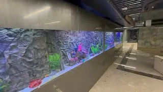 9.000 Litre Akvaryum Projesi