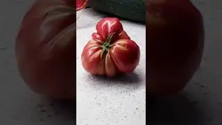 природа чудит