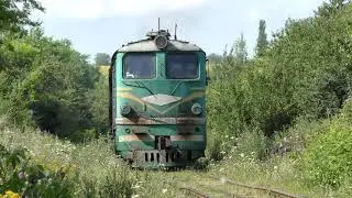 The locomotive crawls through the bushes. Diesel locomotive 2TE10L-2077B