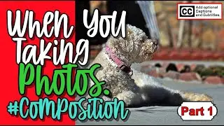 How To Take Amazing Photos. / Photography Tips [cc]