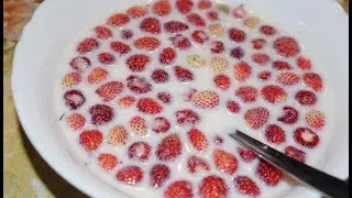 Детский рецепт земляника с молоком