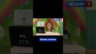 питомец... #новости #мем #мемы #прикол #приколы #юмор #шортс #тренд #тренды #реки