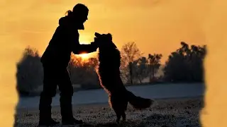 Human and Animal Friendships