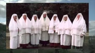 Jarzębina - Kocudza