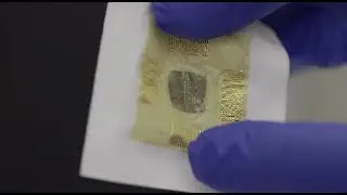 3D body mapping could identify, treat organs, cells damaged from medical conditions