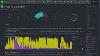 Netdata's standard dashboard