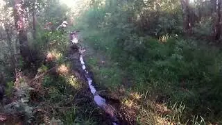 Тесак зарешал на данном маршруте