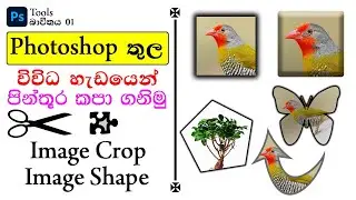 How to crop image in Photoshop/Circle and different shapes in Photoshop sinhala