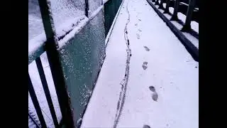 Ярославль ! 11 мая 2017 г. выпал снег !