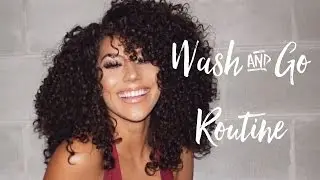 Wash and Go Curly Hair Routine LOC Method | 3b Curls