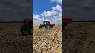 Вносим аммофос под полупар.