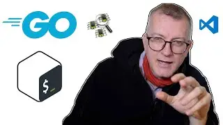 How to debug a Go CLI app