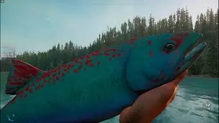 Far Cry New Dawn: Catch CHINOOK SALMON fish in very easy way.