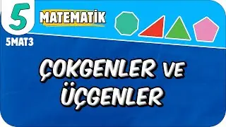 Çokgenler ve Üçgenler 📘 5. Sınıf Matematik 