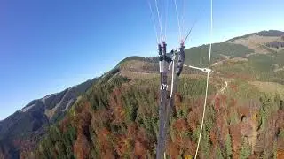 Autumn Flights