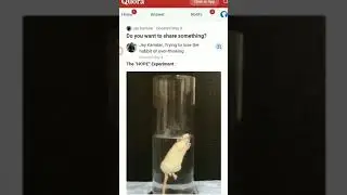 Hope Experiment