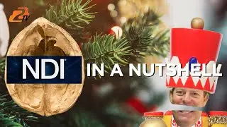 What is NDI and How Does it Work?
