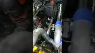 28 июня 2024 г.