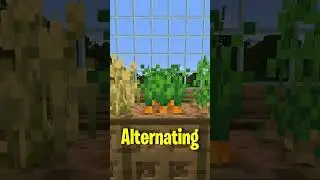 You Don’t Know How To Farm In Minecraft! #minecraftshorts