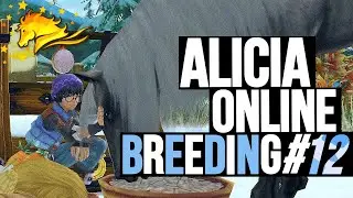 Alicia Online Breeding ｜Breeding Compilation #12 : Ugly Roan Edition
