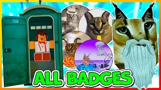 🐈 ВСЕ BADGES в RAISE A FLOPPA | РОБЛОКС