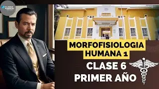 MORFOFISIOLOGIA HUMANA 1 CLASE 6