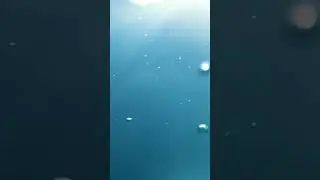 Por que o oceano é azul? #shorts